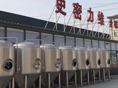 宜春精酿啤酒设备厂—如何判断精酿啤酒设备的密封件需要更换？